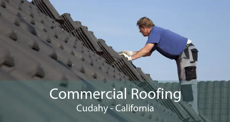 Commercial Roofing Cudahy - California