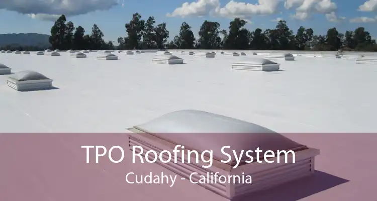 TPO Roofing System Cudahy - California